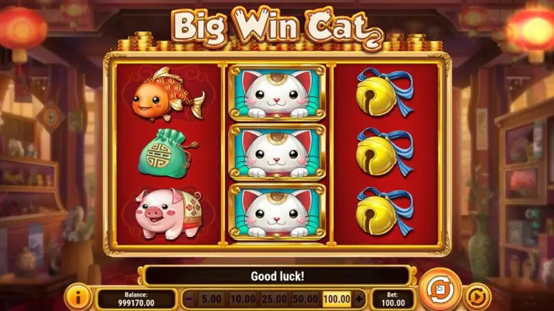 แอดมิน wmbet444 แนะนำเกม big win cat